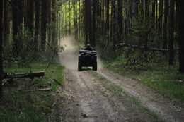 Поход выходного дня по болотам Подмосковья