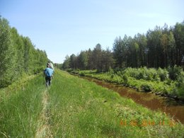Поход выходного дня по болотам Подмосковья
